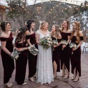 BHLDN Edison Velvet Dress